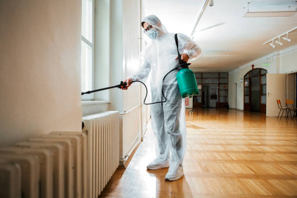 Reliable Wichita Falls, TX Pest Control Solutions